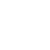 icon-flag-white.png