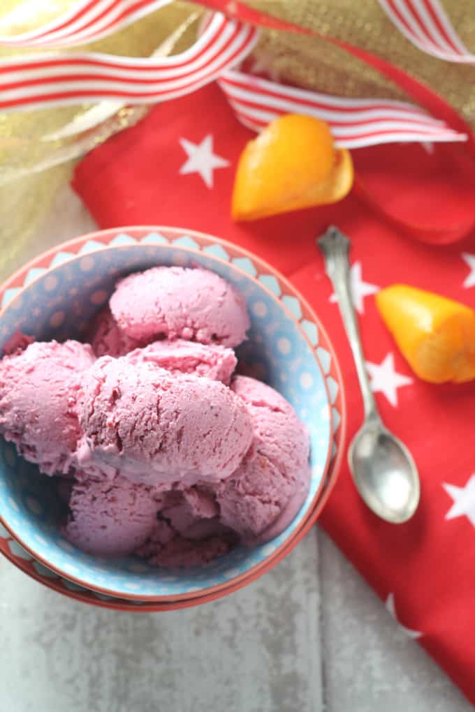 sugar free christmas ice cream cranberry orange