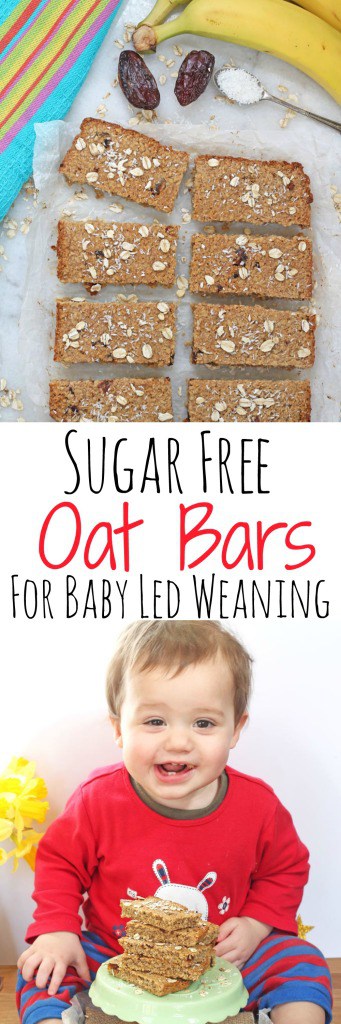 Sugar Free Oat Bars for Baby Led Weaning | My Fussy Eater Blog