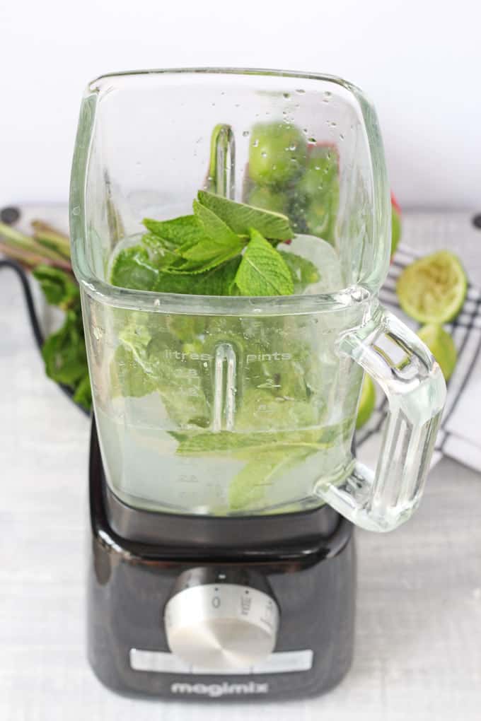 blender mojito