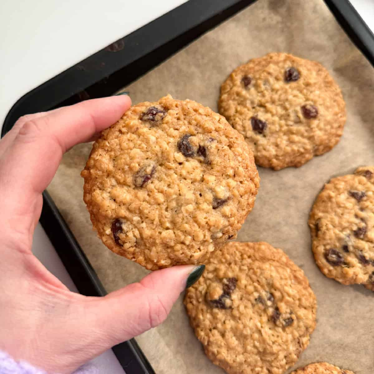 Close up photo of a Oat & Raisin cookie fresh out of the oven and golden brown.