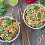 A super quick, easy and healthy family meal ready in just 5 minutes. You won't believe just how simple this Satay Vegetable Noodle recipe is to whip up. Its also vegetarian and vegan friendly too!