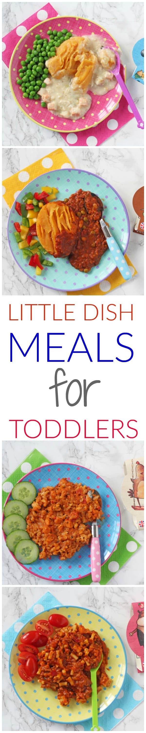 Little Dish pots and pies - delicious and nutritionally balanced meals for toddlers!