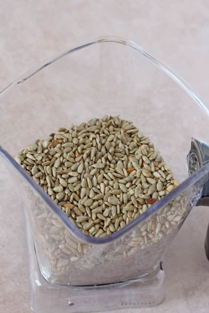 sunflower seeds in the blender