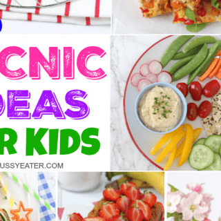 25 Easy & Healthy Picnic Food Ideas for Kids!