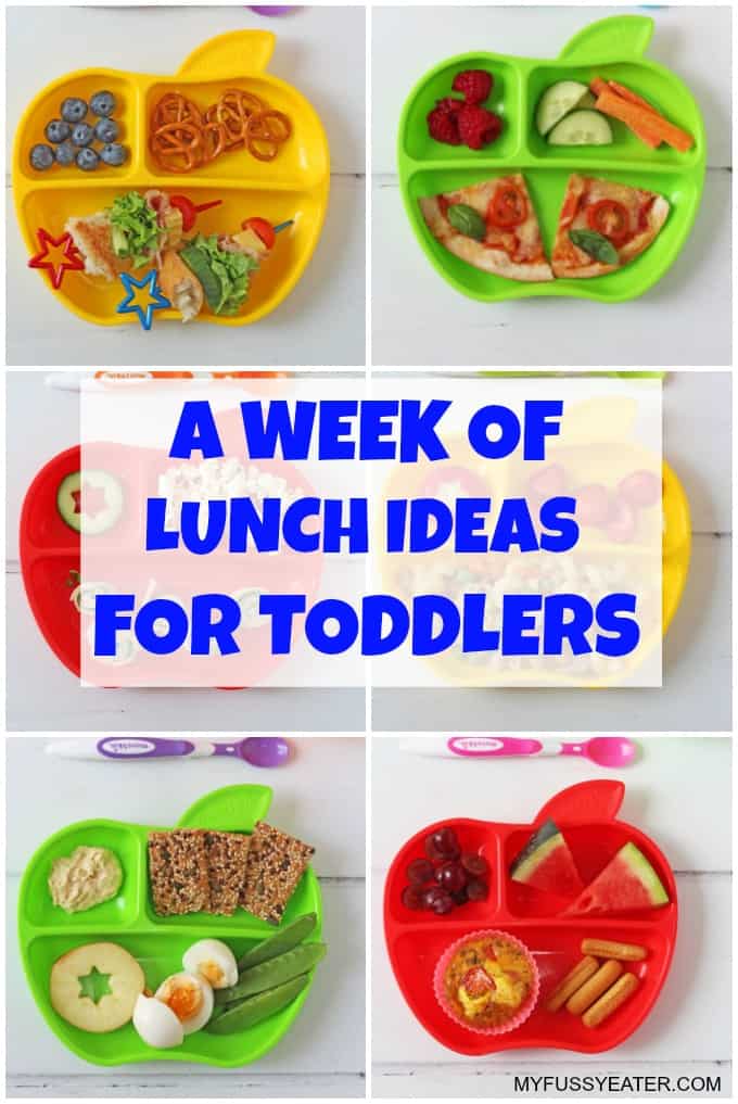 Easy Toddler Lunch box Ideas and recipes for Daycare- Week 1