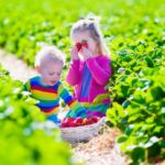 Organic Food for Kids