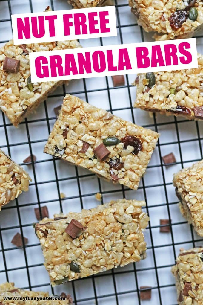 Nut Free Granola Bar Recipe