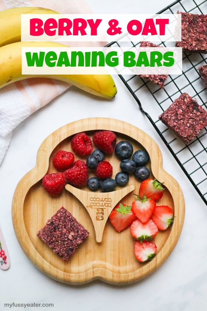 Berry and Oat Baby Led Weaning Bars