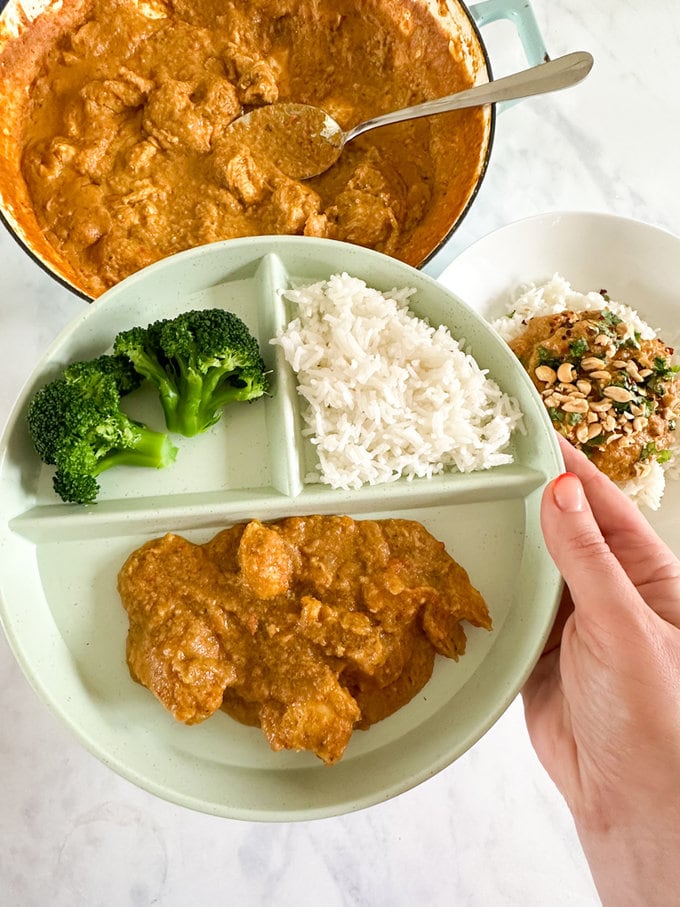 Hidden veg chicken satay served with white rice and broccoli florets. In a child's portion separated plate.
