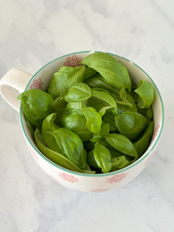 Fresh basil leaves in  a tea cup.