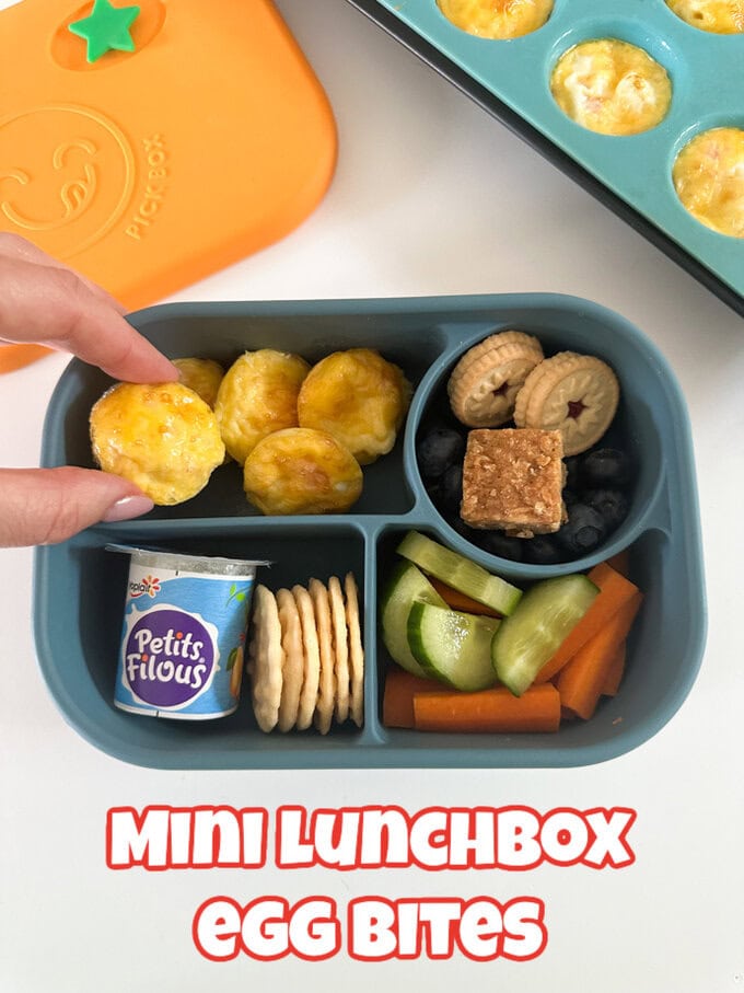 Five mini egg lunchbox bites, presented in a blue silicone Bento style lunchbox.
served with a mini yogurt,fresh veggies and berries, with a small flapjack and jammy biscuit.