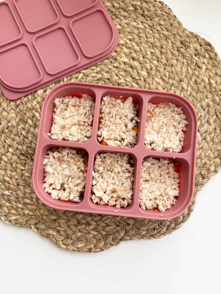 Frozen Veggie Cubes 07